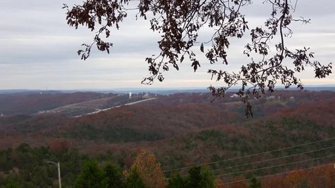 Aerial view of colorful forest in the fall. Video stock 82798292