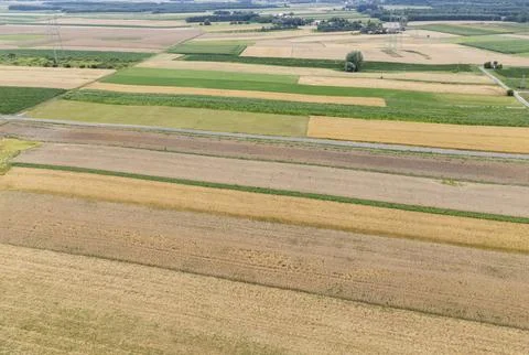 Aerial view of colorful patchwork fields showcasing various agricultural 스톡 사진