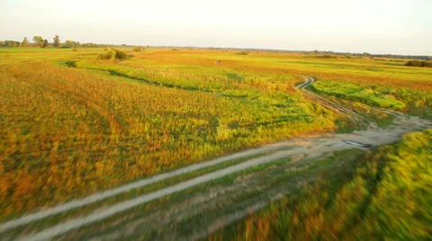 Aerial View: Colorful sunset. Flying over the river. Golden autumn. Stock Footage 33656166