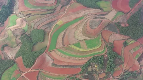 Aerial view of colorful terraced fields in Dongchuan Red Land, Yunnan, China Vídeos de archivo 345045691