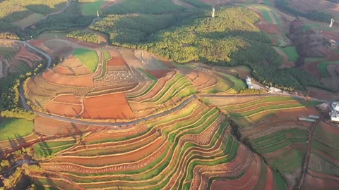 Aerial view of colorful terraced fields in Dongchuan Red Land, Yunnan, China Vídeos de archivo 345046211