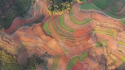 Aerial view of colorful terraced fields in Dongchuan Red Land, Yunnan, China Video stock 345046326