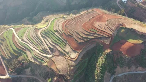 Aerial view of colorful terraced fields in Dongchuan Red Land, Yunnan, China Vídeos de archivo 345046509