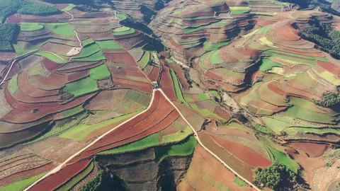 Aerial view of colorful terraced fields in Dongchuan Red Land, Yunnan, China Vídeos de archivo 345066822