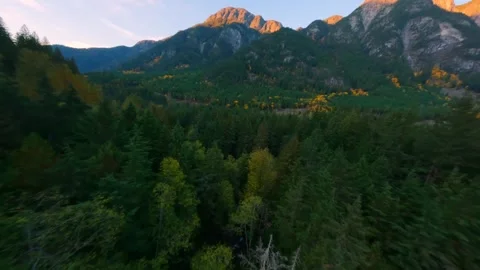 Aerial view of colourful forest on mountain slopes. Fall in Canada Stock Footage 256044375