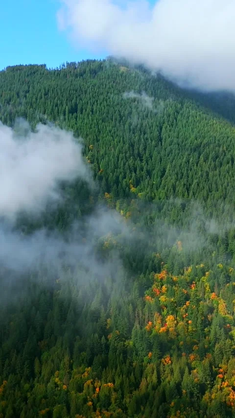 Aerial view of colourful forest on mountain slopes and cloudy sky. Canada Stock Footage 320076893