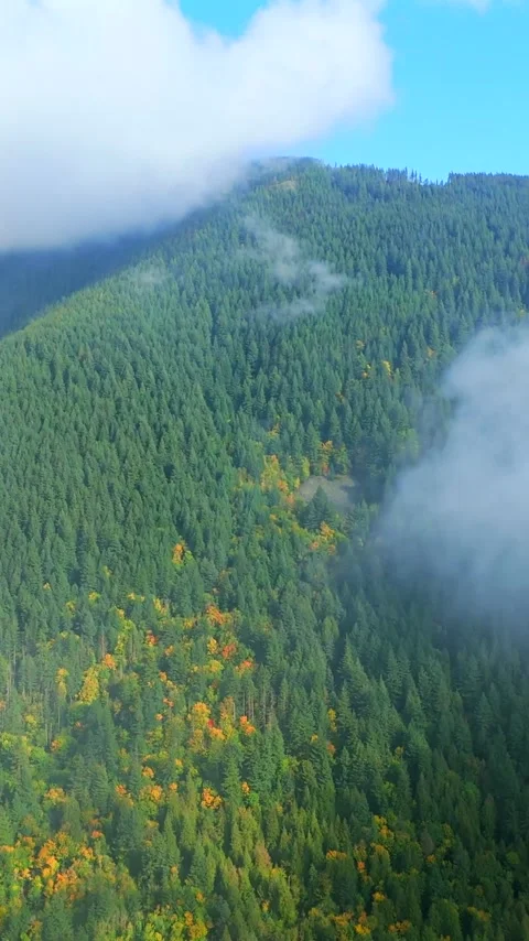 Aerial view of colourful forest on mountain slopes and cloudy sky. Canada Video stock 343571990