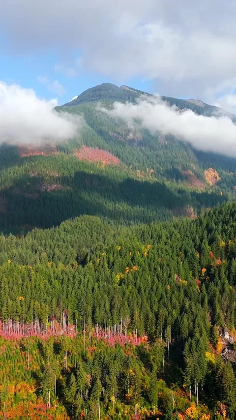 Aerial view of colourful forest on mountain slopes and cloudy sky. Canada Видео 343572245