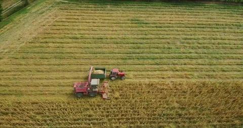 Aerial view of combine and tractor harvesting corn field Stock Footage 99602684