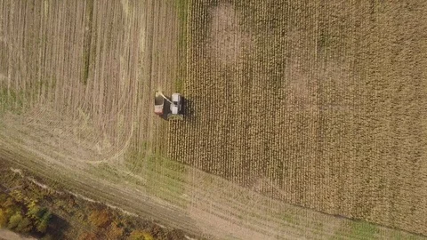 Aerial view of combine ending row harvests corn on farm, aerial agriculture Video stock 117633085