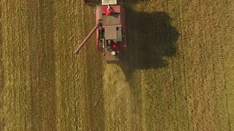 Aerial view. the combine goes through the field. Combine harvester. Stock Footage 154291077