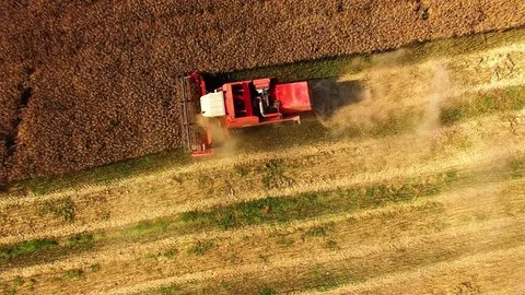 Aerial view of combine harvester. 스톡 동영상 72004475