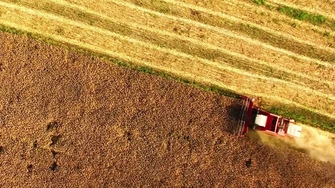 Aerial view of combine harvester. Stock Footage 72005808