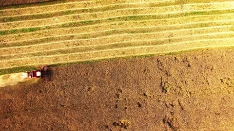 Aerial view of combine harvester. Vídeo Stock 72007651