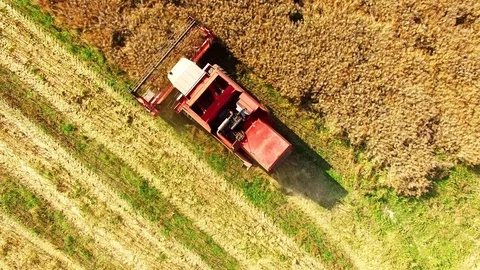 Aerial view of combine harvester. Vídeo Stock 72008129