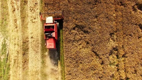 Aerial view of combine harvester. Video stock 72008563