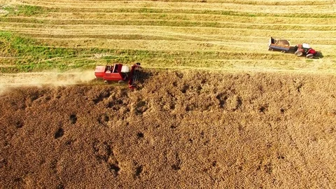 Aerial view of combine harvester. 스톡 동영상 72009174