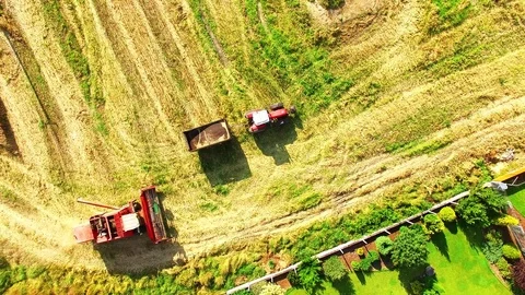 Aerial view of combine harvester. Video stock 72009503