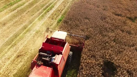 Aerial view of combine harvester. Video stock 72009642