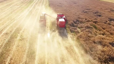 Aerial view of combine harvester. Vídeo Stock 72010448