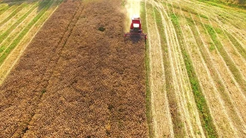 Aerial view of combine harvester. Stock Footage 72010770