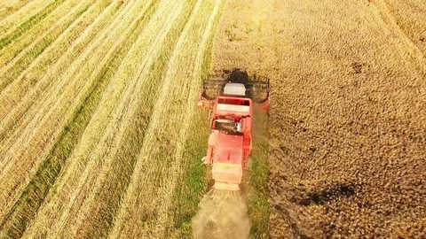 Aerial view of combine harvester. Stock Footage 72010844