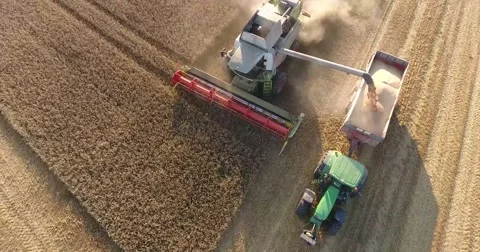 Aerial view of a combine harvester loading wheat on a trailer Stock Footage 66445231