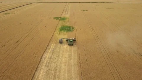 Aerial view: Combine harvester loading w... | Stock Video | Pond5