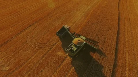 Aerial view of a combine harvester loading a truck with wheat grain. 4K Video stock 79547593