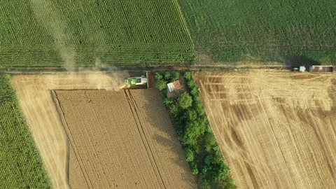 Aerial view on combine, harvester machine, harvest ripe cereal Stock Footage 320944314