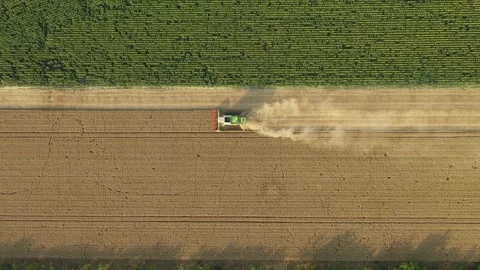 Aerial view on combine, harvester machine, harvest ripe cereal Stock Footage 320945797