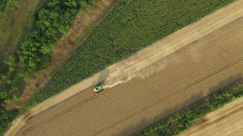 Aerial view on combine, harvester machine, harvest ripe cereal Stock Footage 320945832