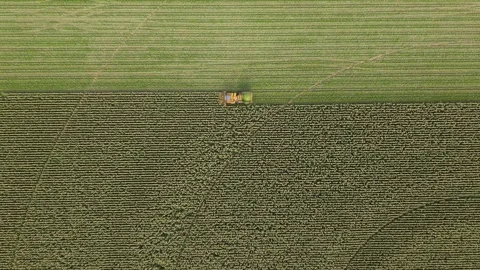Aerial view of combine harvester in maize field, Spain. Stock Footage 345068005