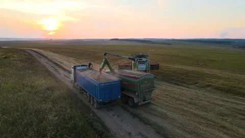 Aerial view of combine harvester unloading grain in cargo trailer working during Stock Footage 308400700
