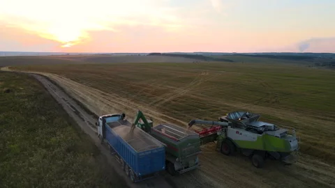 Aerial view of combine harvester unloading grain in cargo trailer working during Stock Footage 309145859