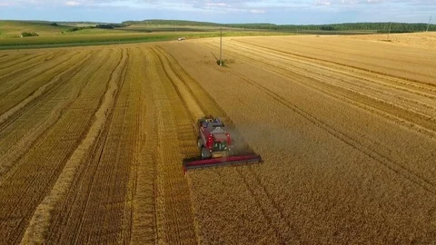 Aerial view of combine harvester on wheat field Stock Footage 70285233