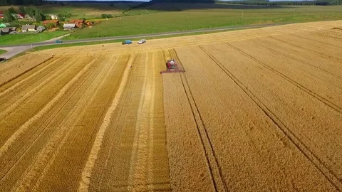 Aerial view of combine harvester on wheat field Stock Footage 70285458