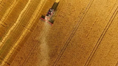 Aerial view of combine harvester on wheat field Stock Footage 70285553