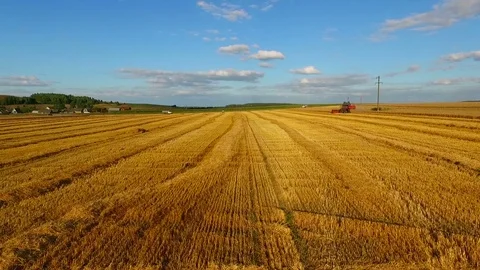 Aerial view of combine harvester on wheat field Stock Footage 70285751