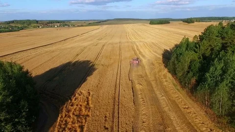 Aerial view of combine harvester on wheat field Stock Footage 70285963