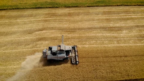 Aerial view combine harvester works in field and mows wheat for agribusiness Stock Footage