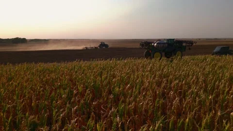Aerial view of a combine harvesting corn in evening light Stock Footage 345532055