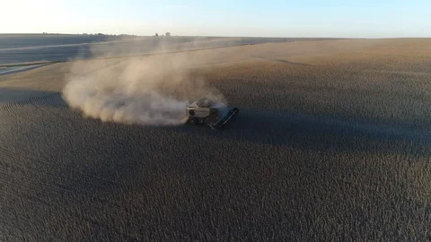 Aerial View of Combine Harvesting Soybean Crop at Sunset, Circling Perspective Stock Footage