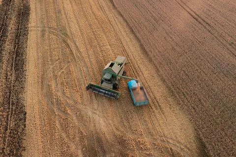 Aerial view of combine loading gathered grain to the cargo truck Stock Photos