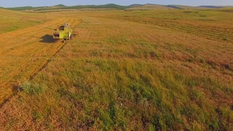 AERIAL VIEW. Combine Machine Reaping Golden Field 스톡 동영상 72622547