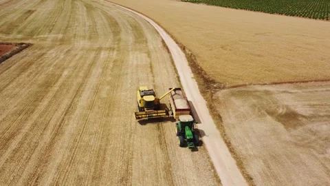 Aerial view of combine unloading harvested wheat grain into tractor trailer Stock Footage 337071598
