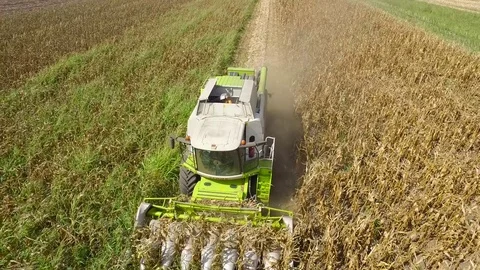 Aerial view on the combine working on the corn field Video stock 72722431