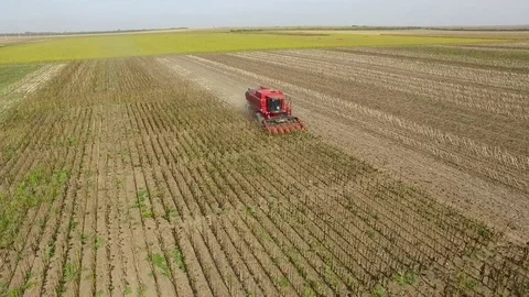 Aerial view on the combine working on the large field Video stock 72722137
