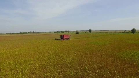 Aerial view on the combine working on the large field Video stock 72722210