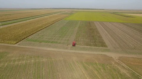Aerial view on the combine working on the large field Video stock 72757678